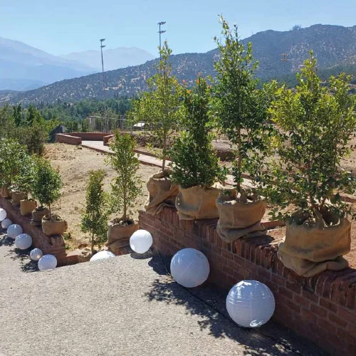 Arriendo de plantas para eventos corporativos