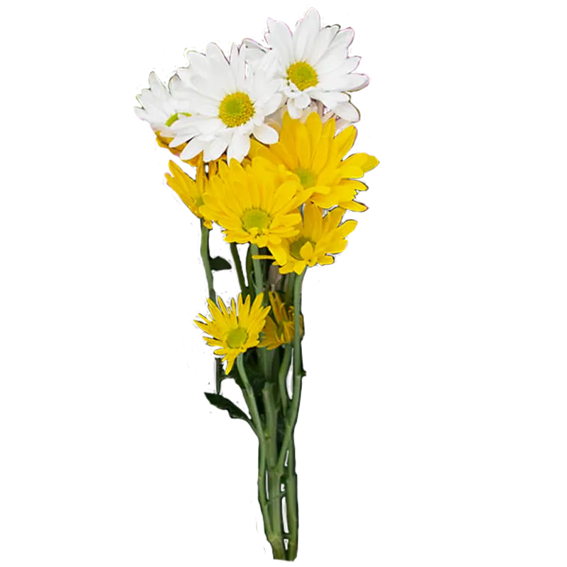 Decoración floral para matrimonio en Santiago