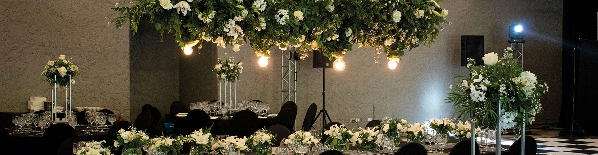 Novedades y proyectos recientes de Decoraeventos